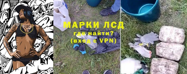 дмт Аркадак