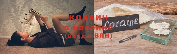 дмт Аркадак