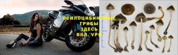 бутират Арсеньев