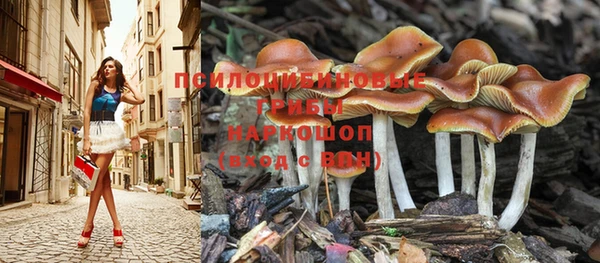 дмт Аркадак