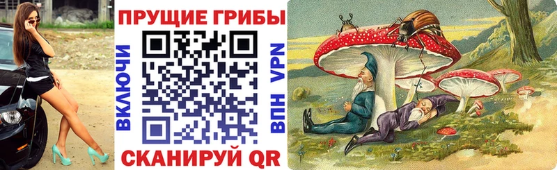 Псилоцибиновые грибы Cubensis  Баймак 