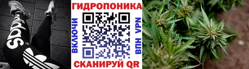 дарнет шоп  Баймак  Марихуана THC 21% 